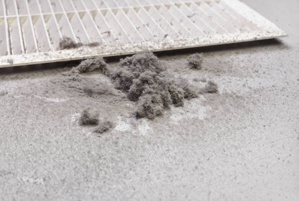 Best Affordable Duct Cleaning Services  in Upland, PA