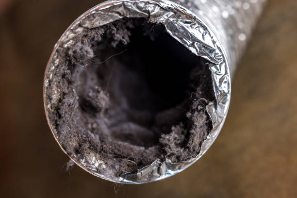 Best Commercial Air Duct Cleaning  in Upland, PA